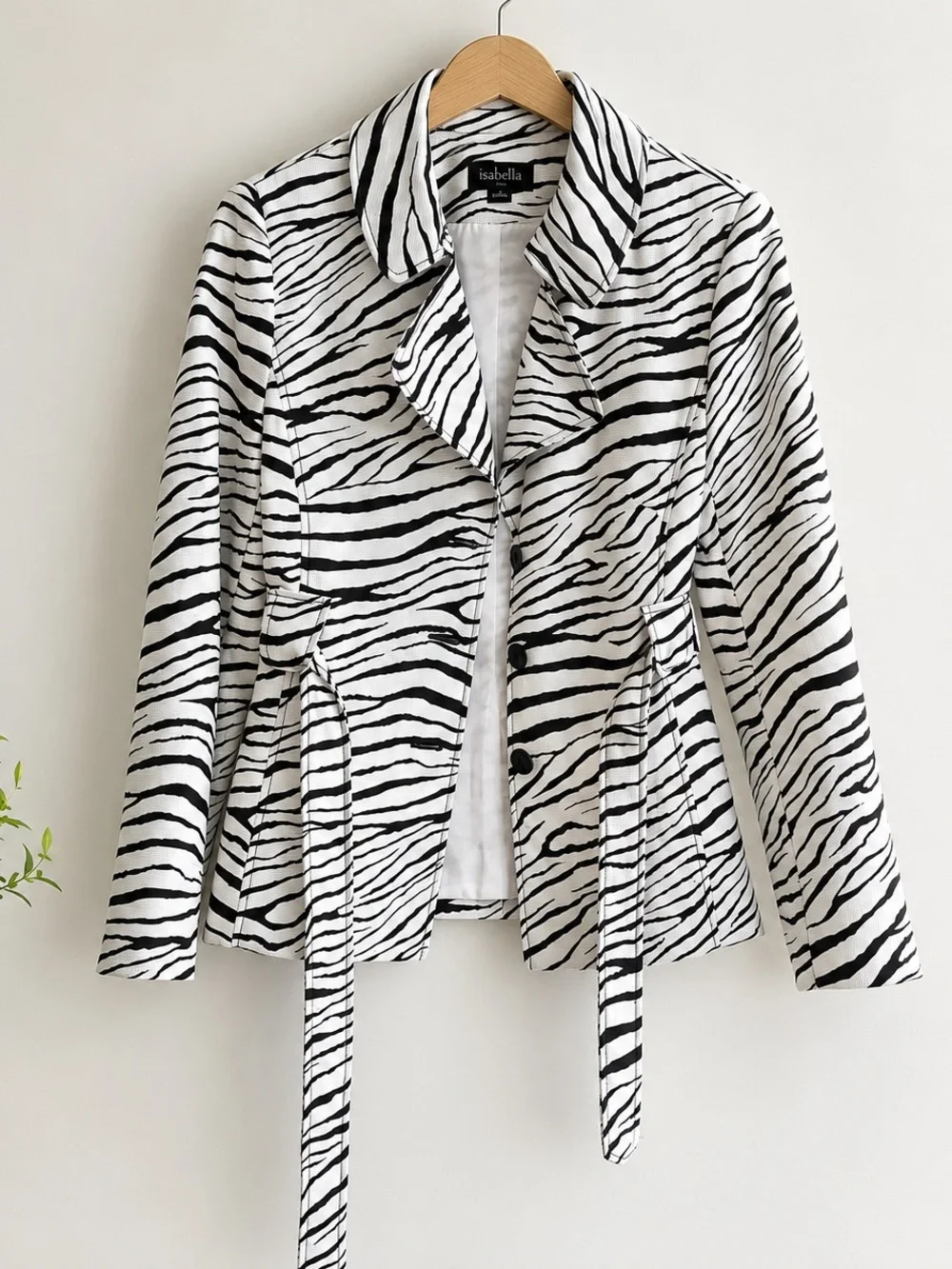 Izabella bold zebra